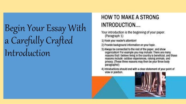 essay on vegetarianism is a way to live healthy short essay on being a vegetarian